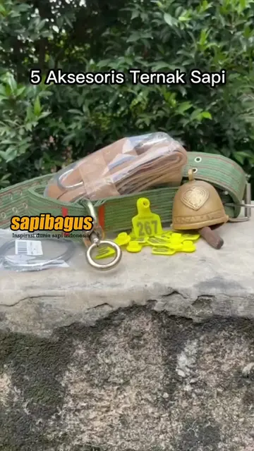 5-Aksesoris-Ternak-Sapi